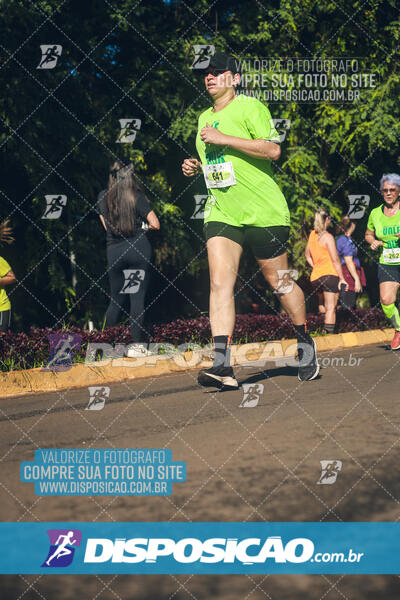 Vale Verde Run 2024