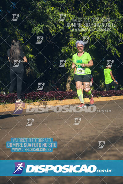 Vale Verde Run 2024