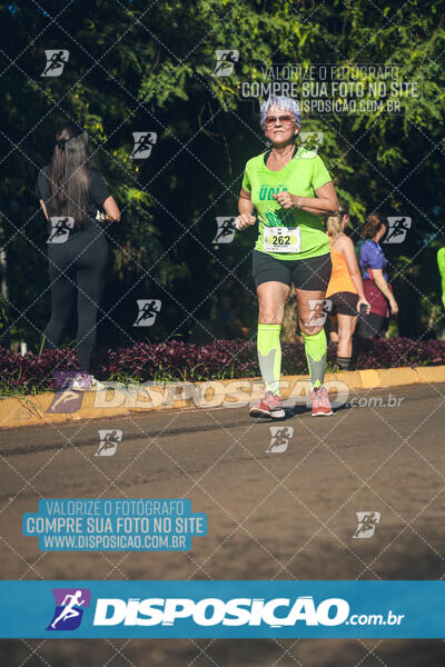 Vale Verde Run 2024