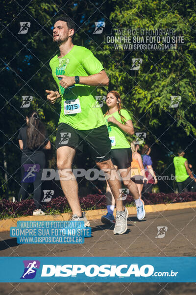 Vale Verde Run 2024