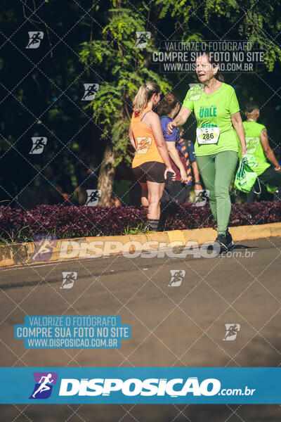 Vale Verde Run 2024