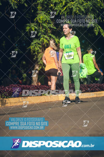 Vale Verde Run 2024