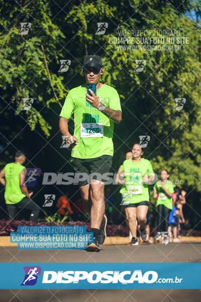 Vale Verde Run 2024