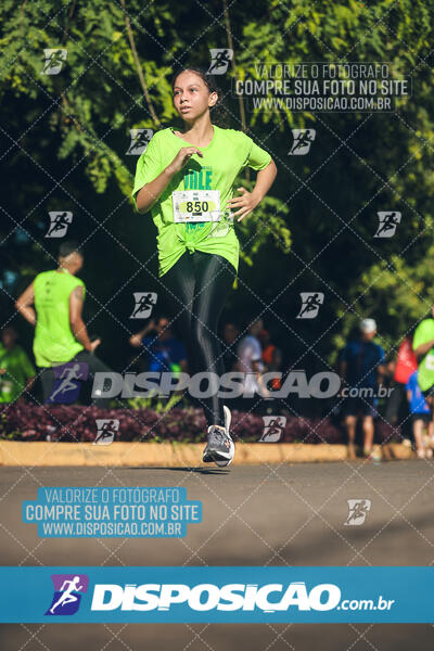 Vale Verde Run 2024