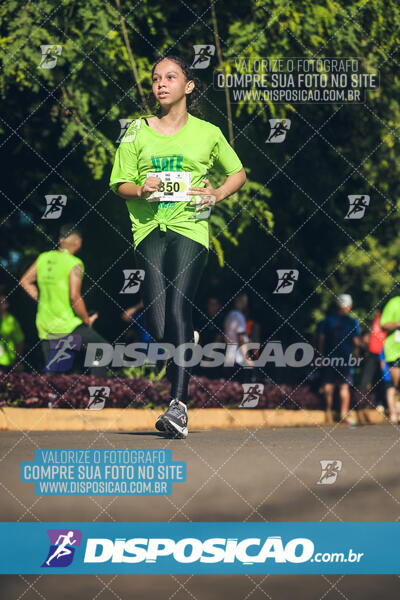 Vale Verde Run 2024