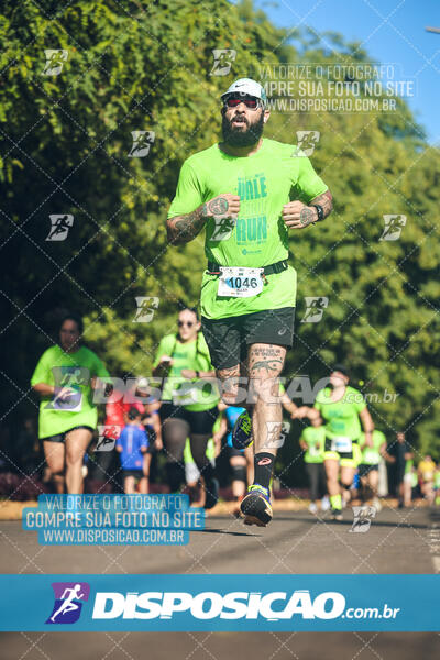 Vale Verde Run 2024