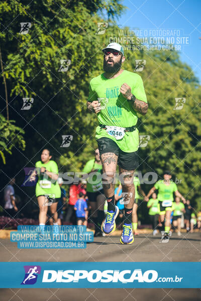 Vale Verde Run 2024