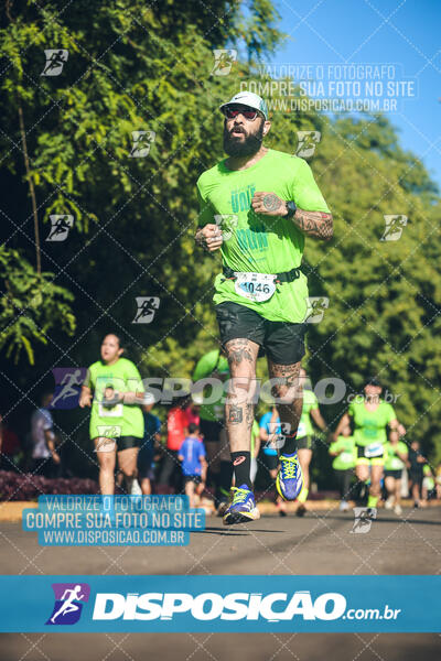 Vale Verde Run 2024