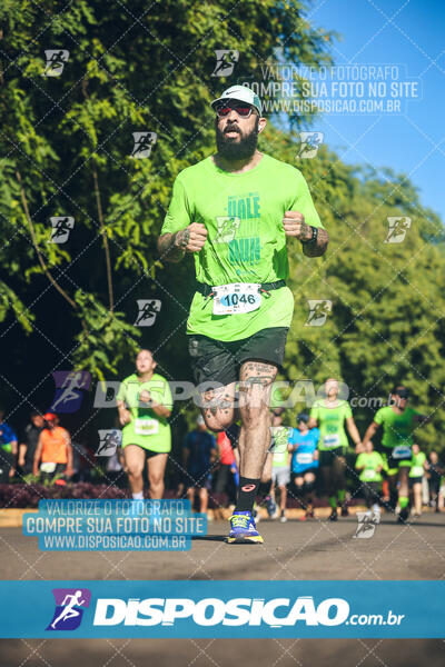 Vale Verde Run 2024