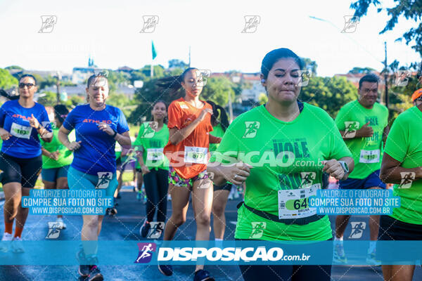 Vale Verde Run 2024