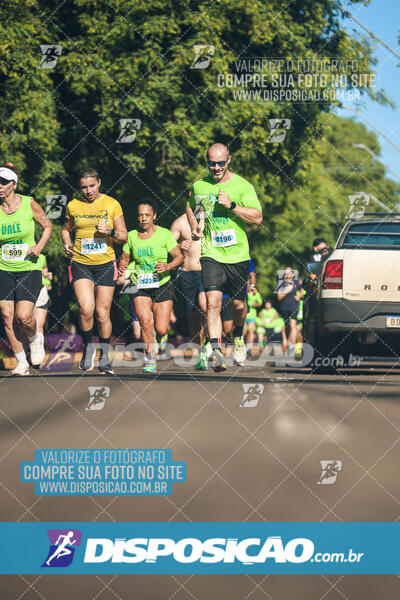 Vale Verde Run 2024