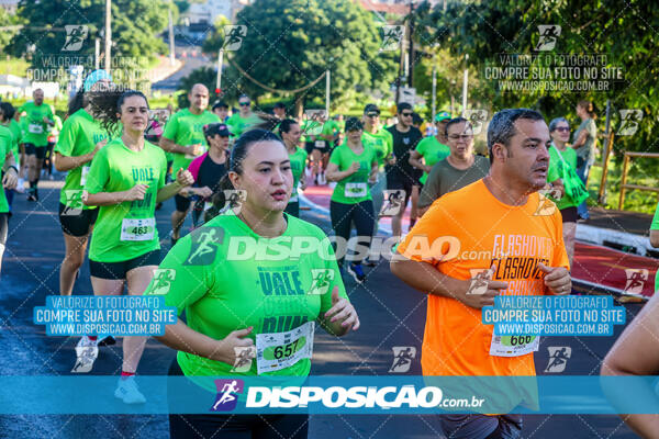 Vale Verde Run 2024