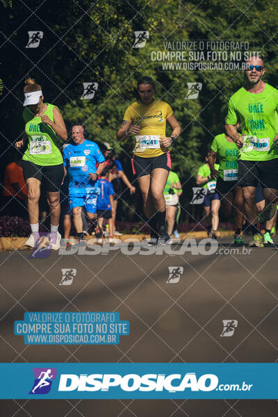 Vale Verde Run 2024