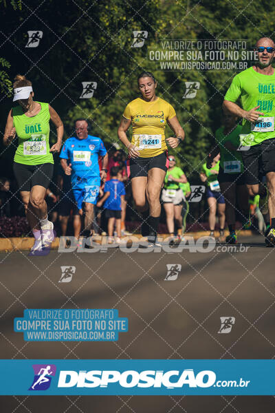 Vale Verde Run 2024