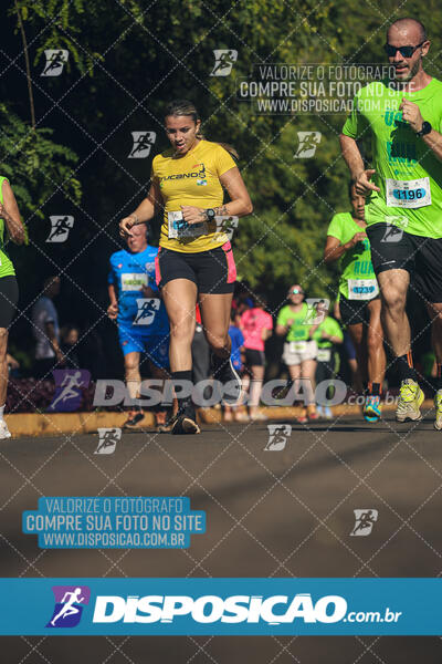 Vale Verde Run 2024