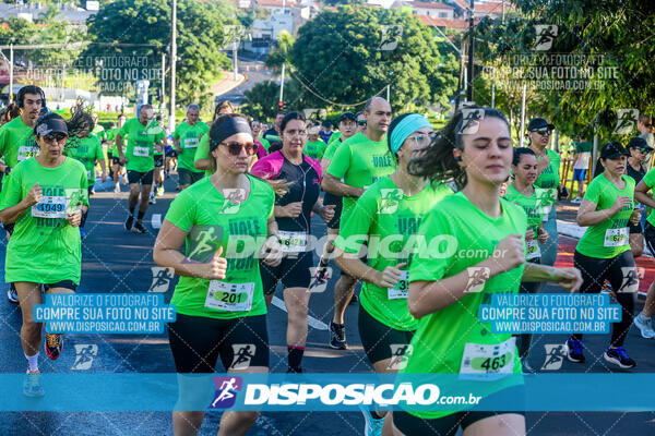 Vale Verde Run 2024