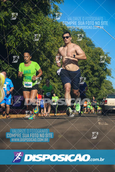 Vale Verde Run 2024