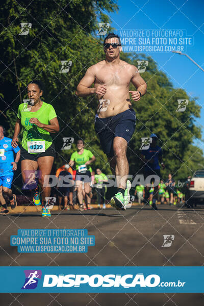 Vale Verde Run 2024