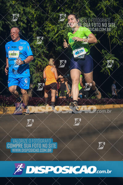 Vale Verde Run 2024