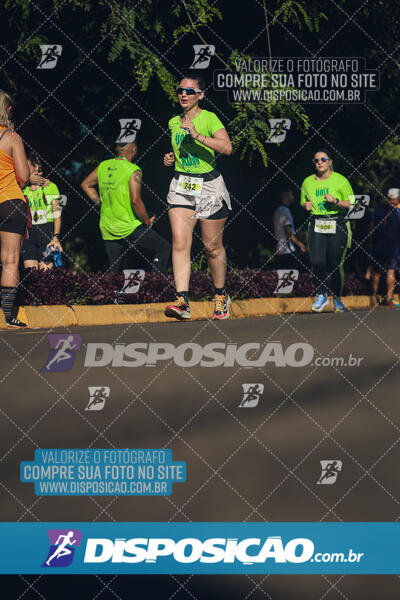 Vale Verde Run 2024