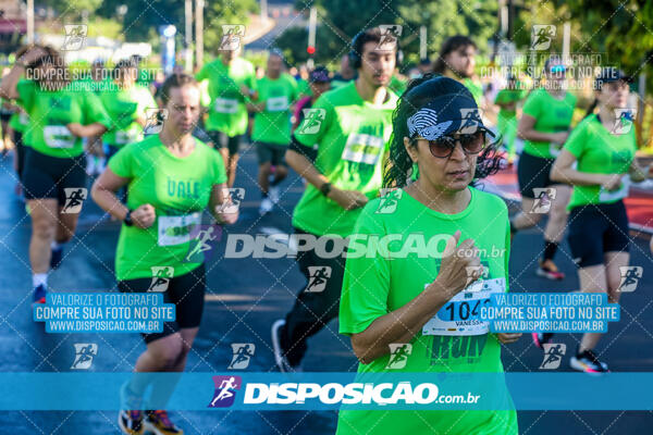 Vale Verde Run 2024