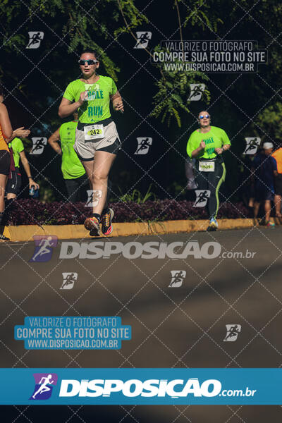 Vale Verde Run 2024