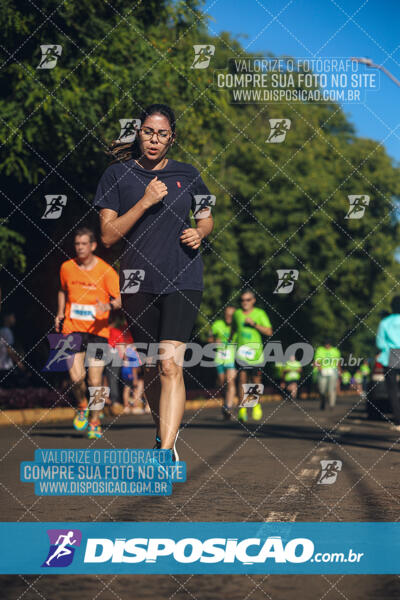 Vale Verde Run 2024