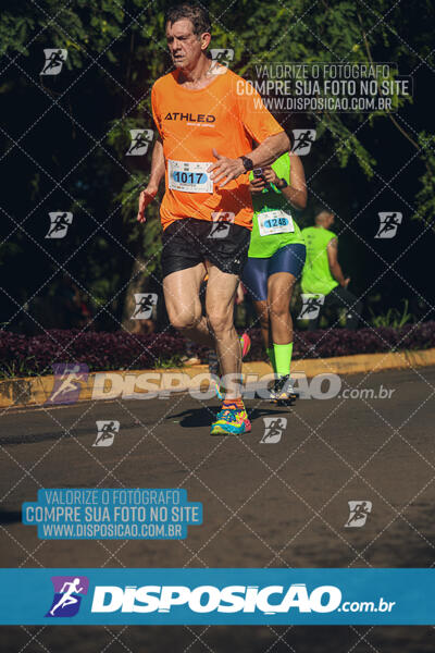 Vale Verde Run 2024