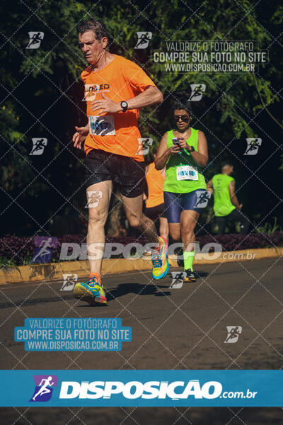 Vale Verde Run 2024