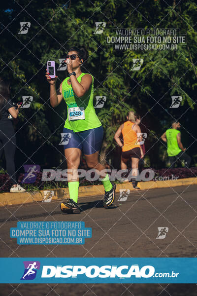 Vale Verde Run 2024