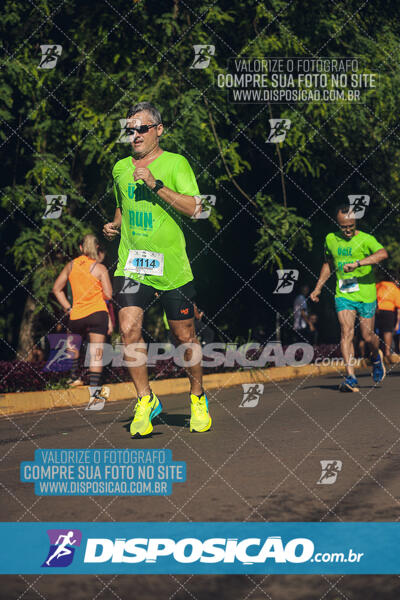 Vale Verde Run 2024