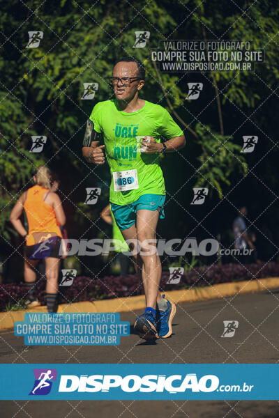 Vale Verde Run 2024