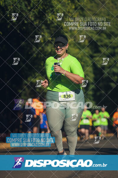 Vale Verde Run 2024