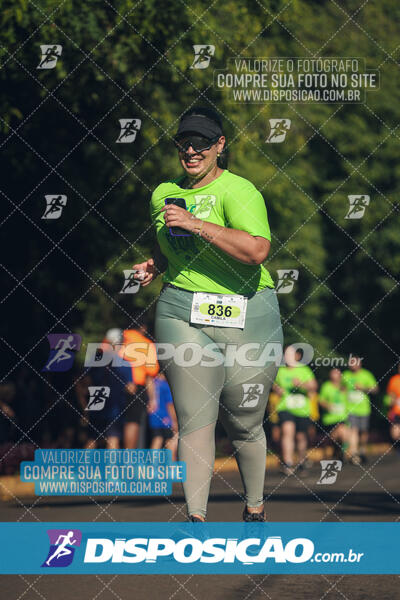 Vale Verde Run 2024