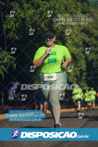 Vale Verde Run 2024