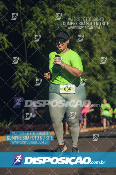 Vale Verde Run 2024