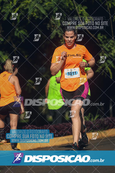 Vale Verde Run 2024