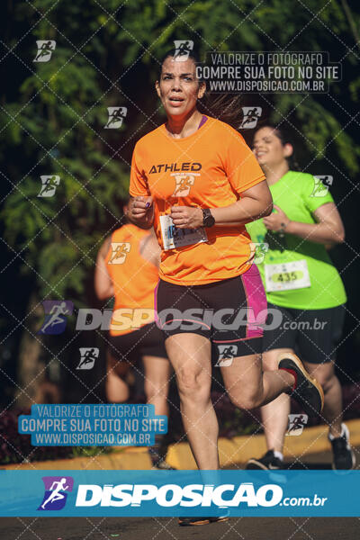 Vale Verde Run 2024