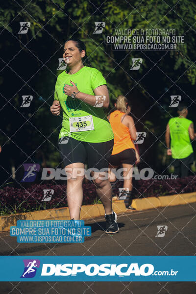 Vale Verde Run 2024