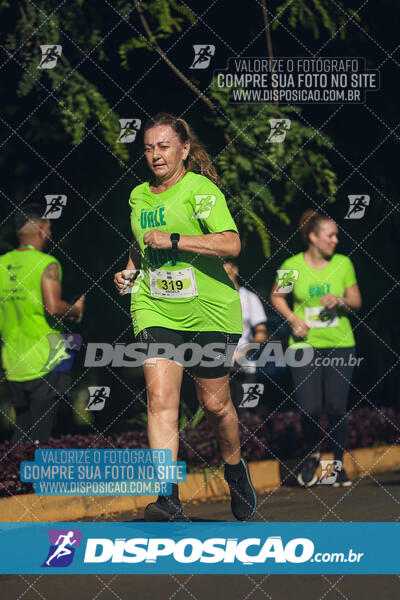 Vale Verde Run 2024