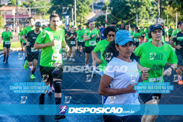 Vale Verde Run 2024