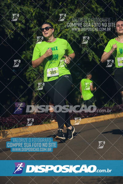 Vale Verde Run 2024