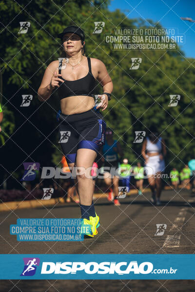 Vale Verde Run 2024