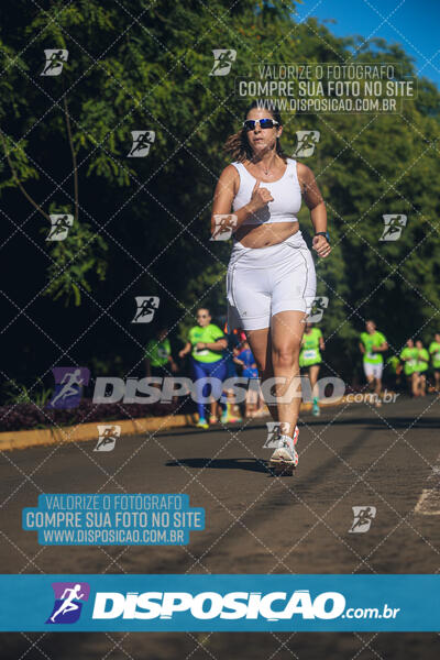 Vale Verde Run 2024