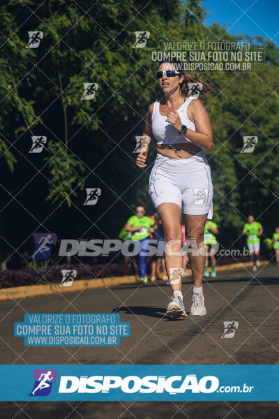 Vale Verde Run 2024