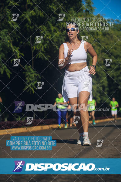 Vale Verde Run 2024