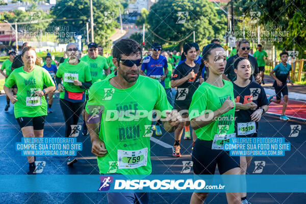 Vale Verde Run 2024