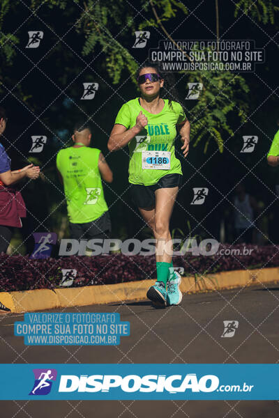 Vale Verde Run 2024