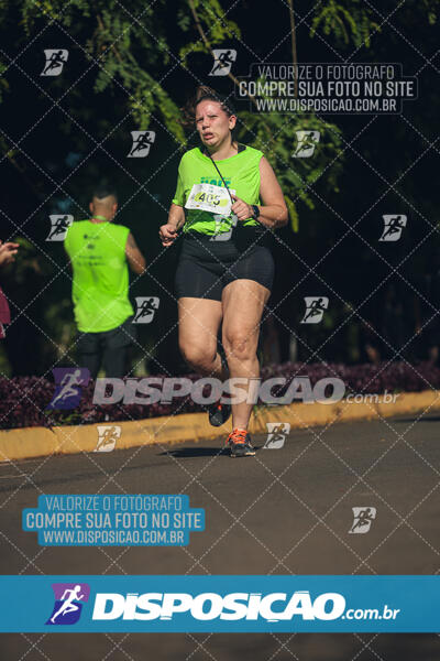 Vale Verde Run 2024