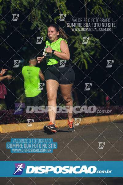 Vale Verde Run 2024